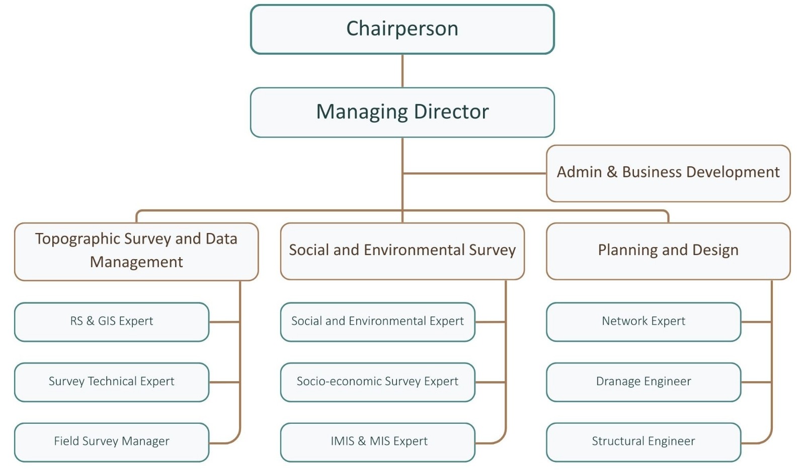 Organogram of BapiTech